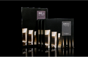 《伶仃洋上的奇跡》畫冊平面設(shè)計